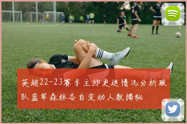 英超22-23赛季主帅更迭情况分析狼队蓝军森林各自变动人数揭秘