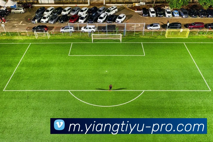 意昂体育服务体系